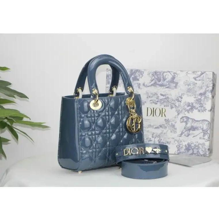 Fashionrep Bags 2012SH0090 Dio 1013
